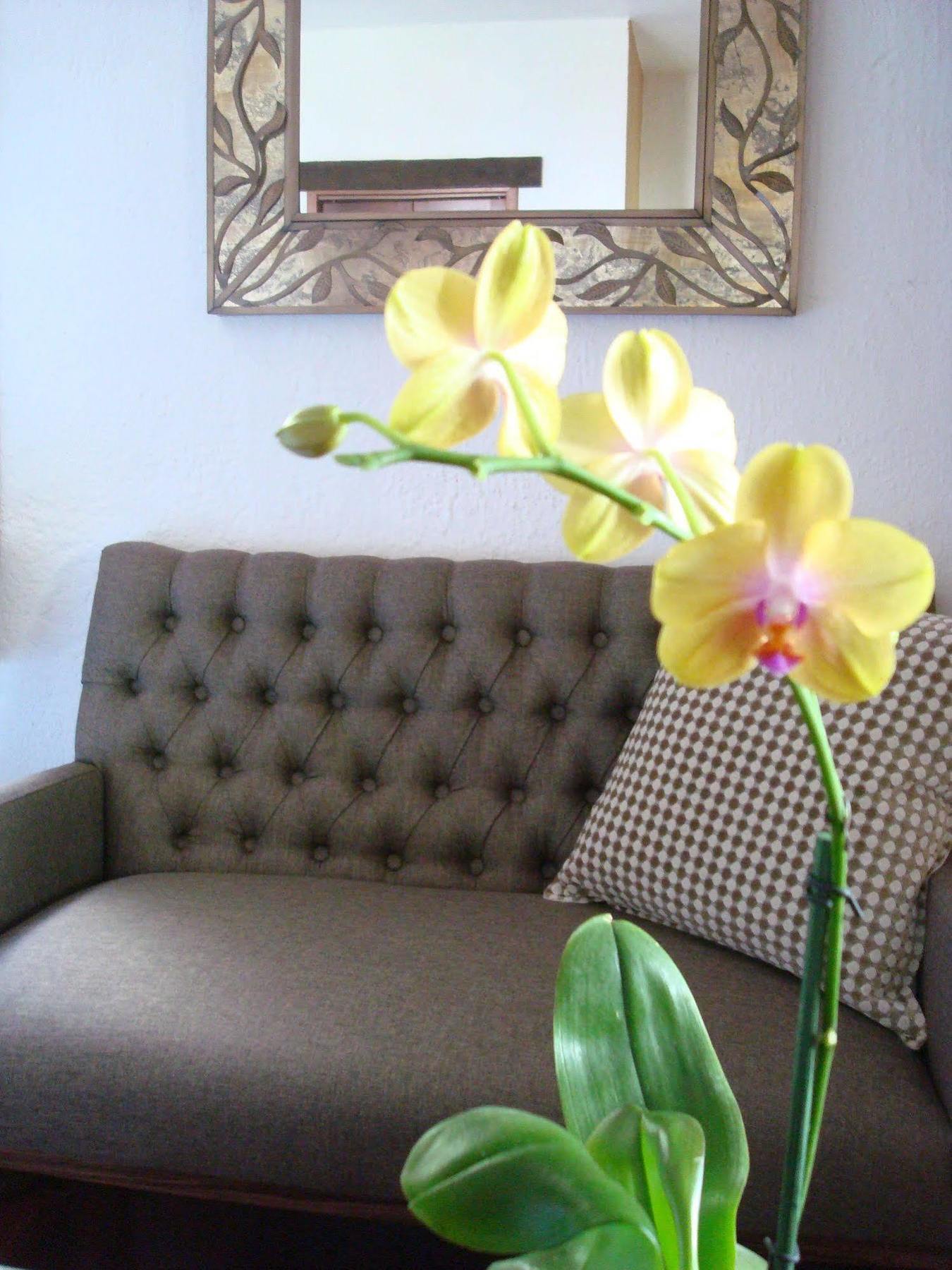 Casa Embrujo Morelia - Boutique 외부 사진